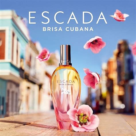 escada parfum 2024|escada perfume.